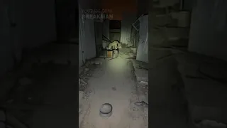 Extraña Criatura Captada en Cámara