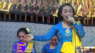 Download Podang Kuning Vocal Agnesia Nanda Sari | Wargo Laras Ko Seno Nugroho MP3