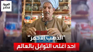 الذهب الأحمر الزعفران أحد أغلى التوابل في العالم يقبل على شرائه السياح من العطارين في الغردقة 