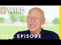 Dr Pol Builds a New Family Farm Full Episode The Incredible Pol Farm