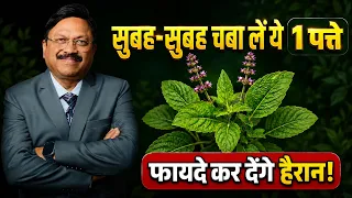 जानिए इस एक पत्ते में छिपा है अच्छी सेहत का राज! | Benefits of Tulsi Leaves | SAAOL