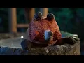 Lost & Found | Shortlisted for Academy Award for Best Animated Short Film