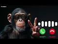 Lulu lulu ringtone funny ringtone FAYAZBEATZ