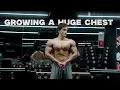 Download Lagu SHREDDED CHEST WORKOUT | Building a resilient mindset to succeed