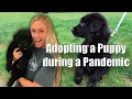 WE GOT A FREE PUPPY OFF CRAIGSLIST