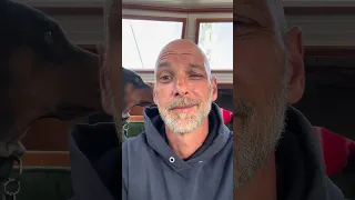 Living aboard with a Doberman . #boatlife #boating #doberman #sailing #pets #petsofyoutube
