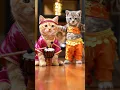 Download Lagu cat funny dancing video // titi titi
