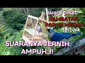 Download Lagu Suara Pikat Rambatan Paruh Merah Paling Dicari