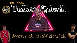 jodoh mati late ngantak plbr team feat tumis kaladi official lyric video lagu dayak terbaru