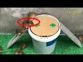 Download Lagu Simpel banget!!!Jenis jebakan tikus dari kardus
