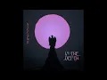 Vioflesh - In The Depth