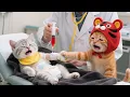 Download Lagu Silver Gradient Cries at Injection! 20 Episodes of Three-Cat Growth: Dark, Baseball, Hospital #cat