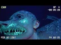 Download Lagu Scientists Capture Disturbing Creatures From the Ocean Floor
