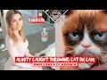 Alinity YEETS Cat Across Room - Worse Clips Come Out