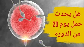 هل يحدث حمل يوم ٢٠ من الدورة وماهي ايام التبويض لحدوث الحمل وكيف حساب ايام التبويض 