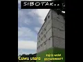 Suara Walet sibotak Original