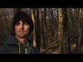 Alban Claudin - One Thousand Trees (Official Video)