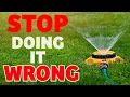 95 of people don t know how to water their lawns properly