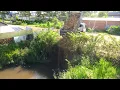Download Lagu NEW Project! Building Foundations Fill Dump Truck Drops First Load of Soil into Water