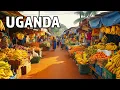 Uganda Like You ve Never Seen Mountains Gorillas Untamed Beauty 4K