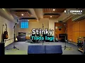 Download Lagu Stinky - Tiada Lagi(Karaoke)