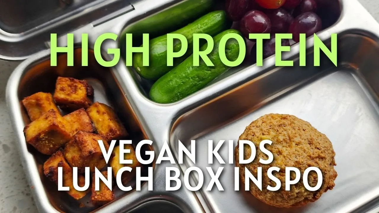 High Protein Vegan Kids Lunchbox: Easy and Nutritious Recipes