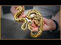 New Pieces to the PUZZLE Ball Python 153