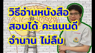  สมองของมนุษย์มีกระบวนการรับรู้ข้อมูลอย่างไรบ้าง 