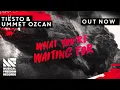 Tiesto, Ummet Ozcan - What You're Waiting For (Extended Mix)
