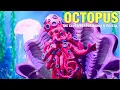 Download Lagu The Masked Singer Octopus: The Clues, Performance \u0026 Reveal