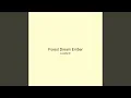 Forest Dream Ember