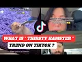 What is THIRSTY HAMSTER SUNROOF TREND ON TIKTOK THIRSTY HAMSTER SUNROOF THIRSTY HAMSTER MEANING