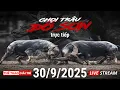 Download Lagu 🔴 30/9/25 Trực Tiếp Lễ Hội Chọi Trâu ĐỒ SƠN 2025.