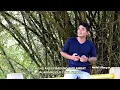 Download Lagu Tarlambat - Marsada Bulung Lagu Tapsel