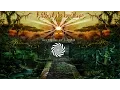 Hilight Tribe - Esperanza