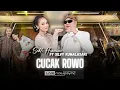 Download Lagu CUCAK ROWO - SAHLI HIMAWAN ft SILVY KUMALASARI | GADIS KULAMAR JANDA KUDAPAT | VIRAL FYP TIKTOK