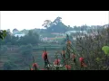 Download Lagu Yoda - kasih jangan kau pergi ( cover video clip )