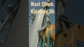 Mast Climb Catalina 30 Sailboat #catalina30 #shorts