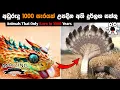 Download Lagu අවුරුදු 1000කට සැරයක් උපදින අති දුර්ලභ සත්තු. Ways to Make Money with Video Abirahas Gaweshanaya