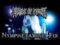 Download Lagu Cradle Of Filth - Nymphetamine Fix cover (ft. Larissa Ernst and Joris Nijenhuis)