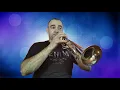 Download Lagu Bon Jovi _It's My Life. Trumpet Cover.
