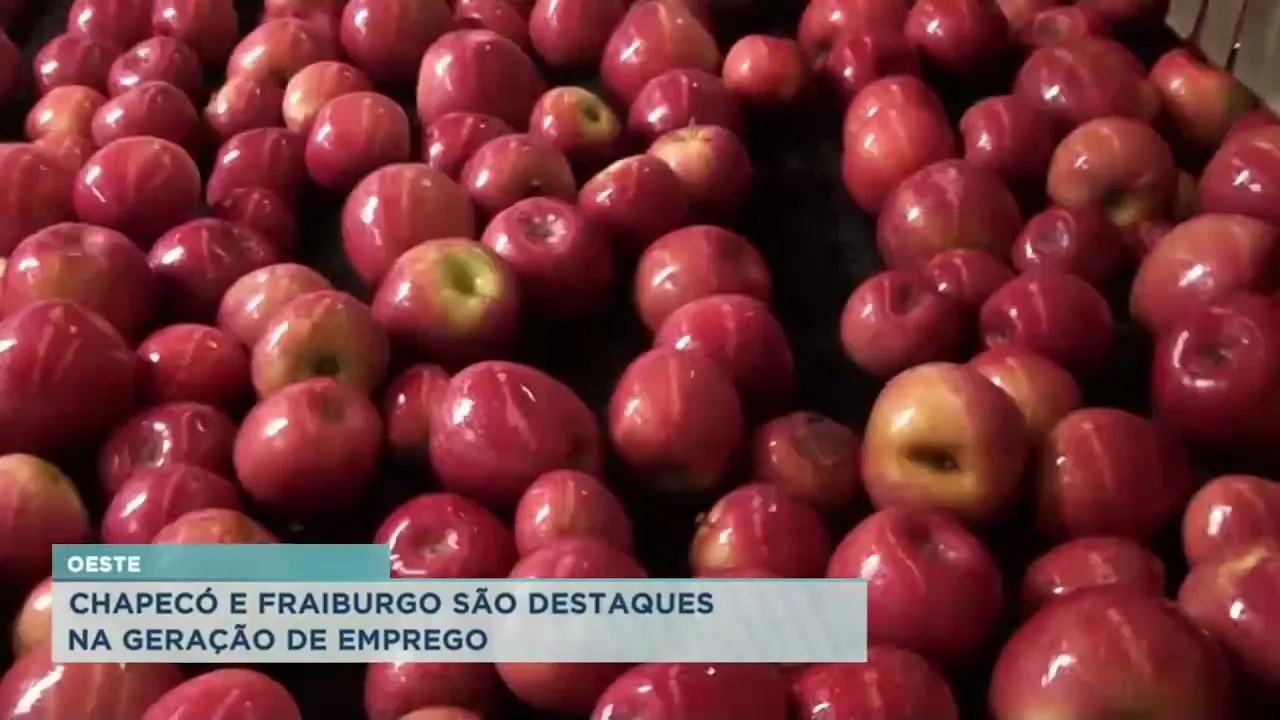 Oeste: Chapecó e Fraiburgo são destaques na geração de emprego