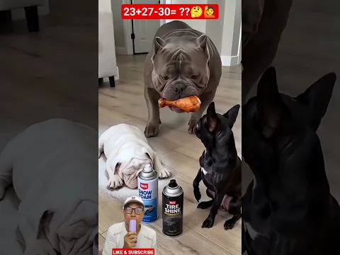 SEMPROT SALJU ANJING SUPER??!😁😅