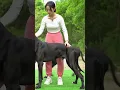 Download Lagu What is the lady and dog are going to do 184