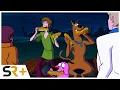 Download Lagu Scooby-Doo Meets Courage the Cowardly Dog Clip: Courage Snacks [EXCLUSIVE]