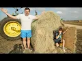 Download Lagu Hudson Found a Secret Hay Bale