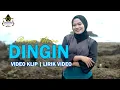 Download Lagu Revina Alvira - Dingin (Lirik Video Klip)