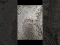 Download Lagu Lăsăm Frumoasa Bucovina și înaintăm spre alte zări frumoase din traseul Via Transilvanica ⛺🏃🦌🐿️🤗🌲