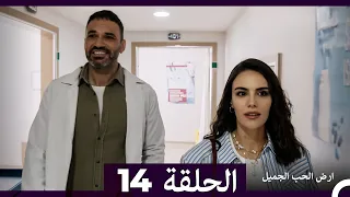 ارض الحب الجميل الحلقة ال 14 Arabic Dubbed 