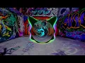 Download Lagu JUNGLE DUTCH BASS BETON VIRAL TIKTOK 2023